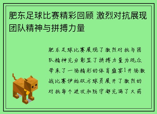 肥东足球比赛精彩回顾 激烈对抗展现团队精神与拼搏力量